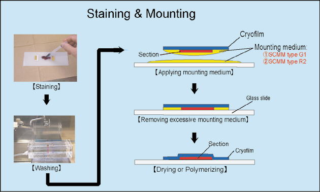 Cryofilm type 2C(9)ʹ�÷���